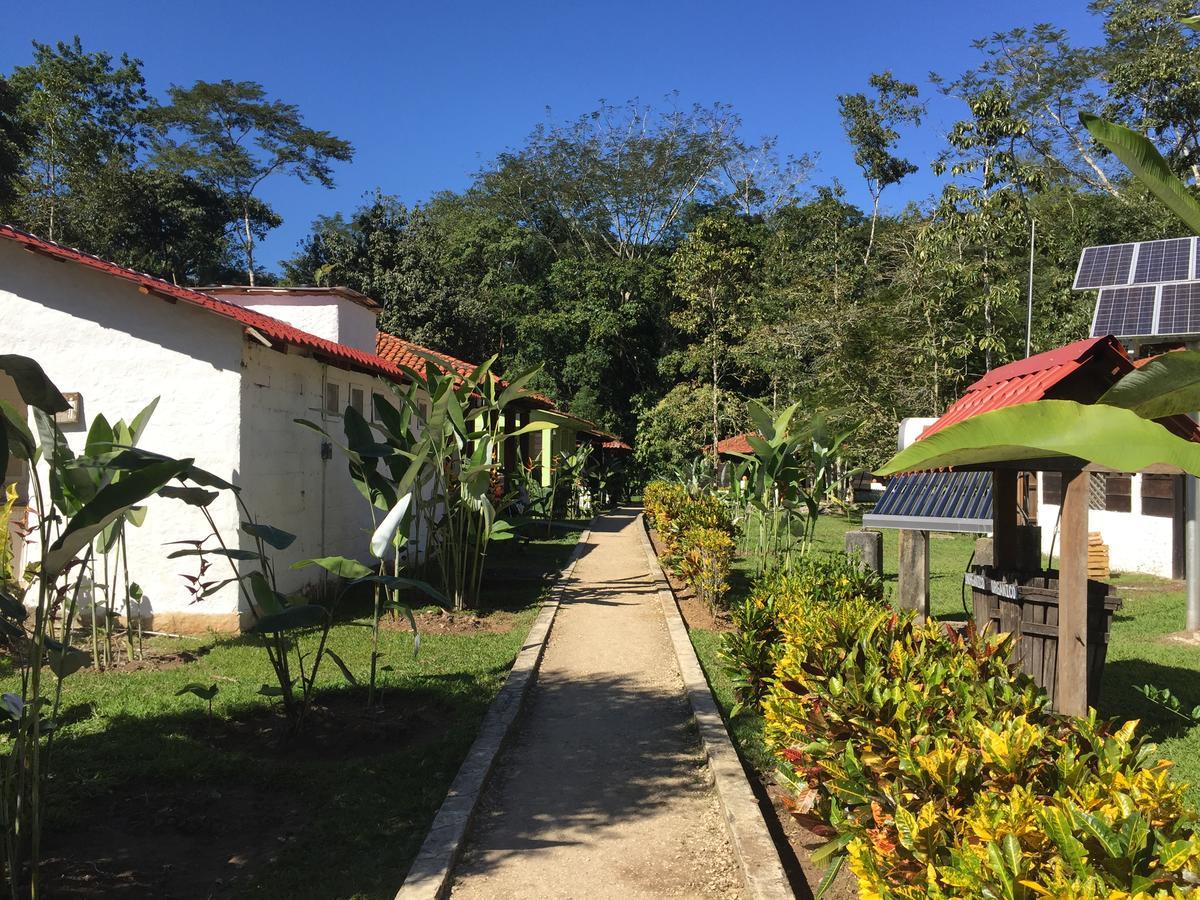 Ecolodge Las Nubes Chiapas La Fortuna Gallo Giro Exterior photo
