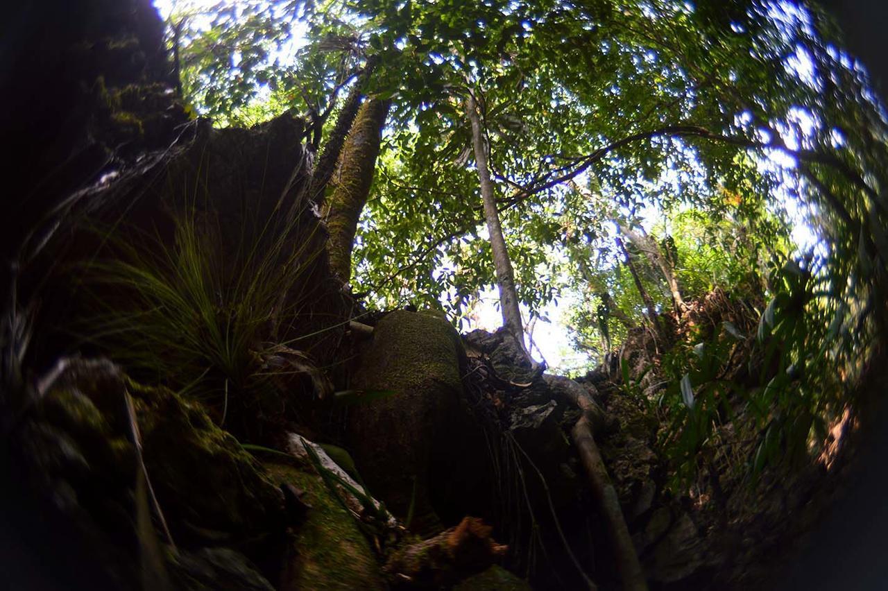 Ecolodge Las Nubes Chiapas La Fortuna Gallo Giro Exterior photo