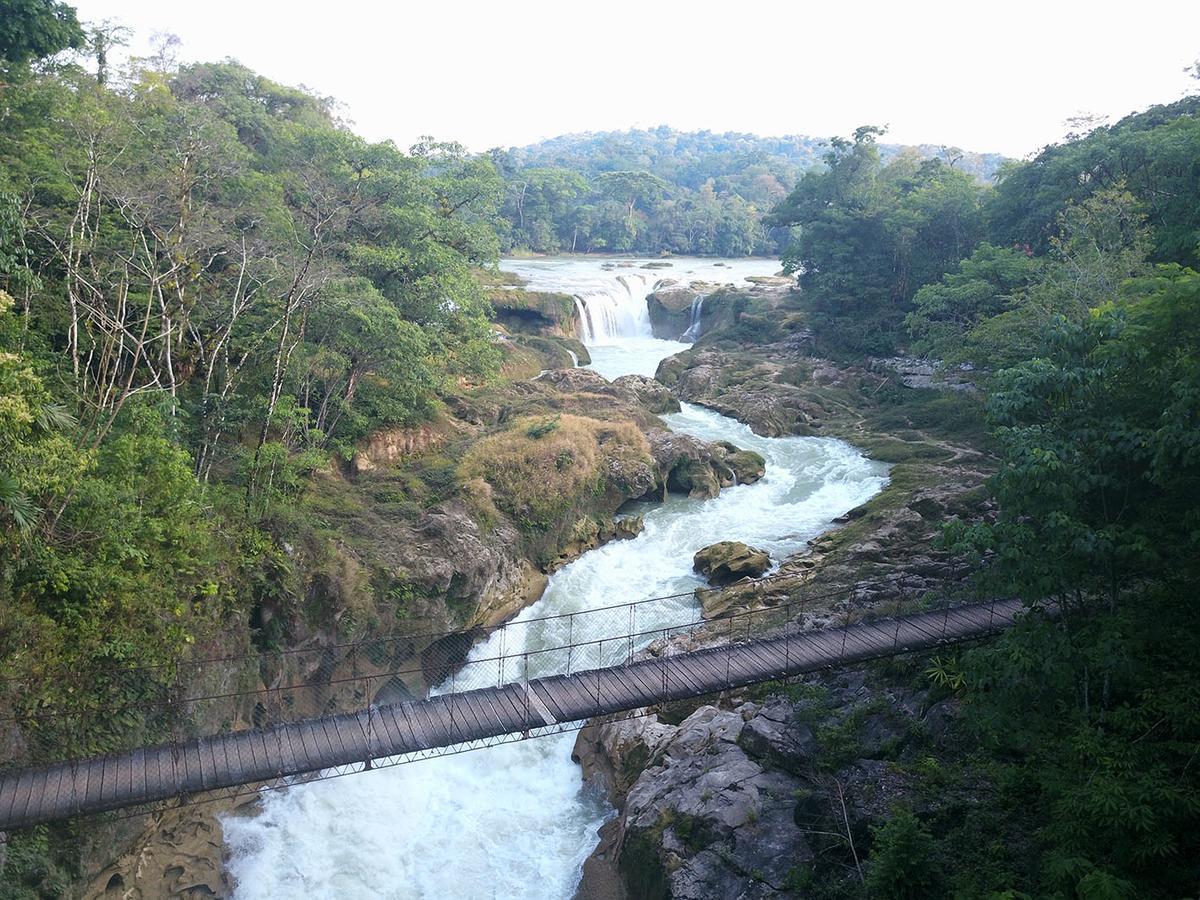 Ecolodge Las Nubes Chiapas La Fortuna Gallo Giro Exterior photo